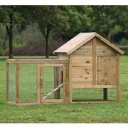 Affordable Coops For Your Chickens 
